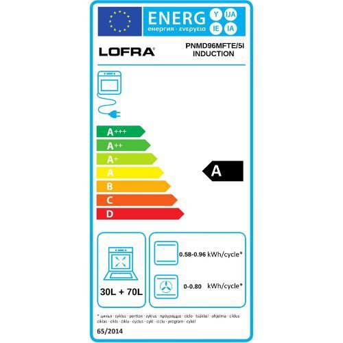 ���� ����� 90 �"� ��-��� ����� ������ ��������� Lofra PNMD96MFTE/5I ����� ������ - ��� ���� ������ �"� ������ �����
