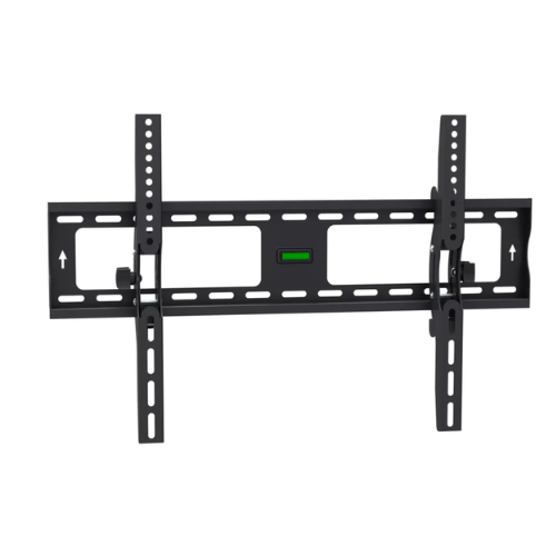 ���� ����� ���� ���