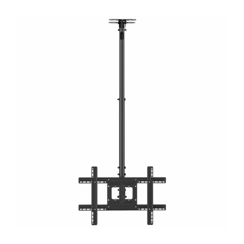 ����� ����� �������